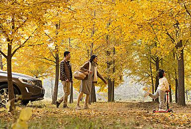 《晨昏线》深入案件，层层击破，探寻最终的秘密！