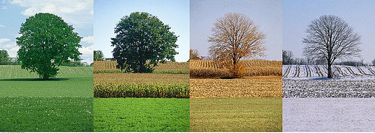 《蹦床上的维京人》公布16分钟实机演示视频